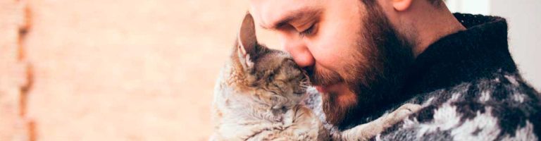 esterilizacion-blog2