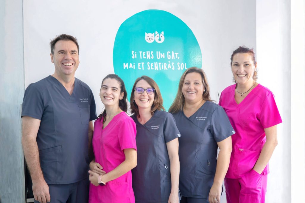 DOSVET equipo veterinario Vilanova i la Geltrú