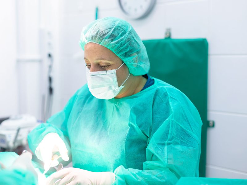 cirugia-esterilizacion-canina-felina-dos-vet-veterinaria-quirofano-operacion cirugia-esterilizacion-canina-felina-dos-vet-veterinaria-quirofano-operacion