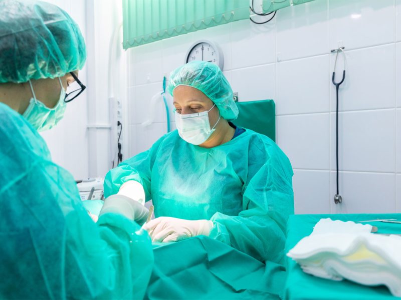 cirugia-esterilizacion-canina-felina-dos-vet-veterinarias-quirofano-urgencias cirugia-esterilizacion-canina-felina-dos-vet-veterinarias-quirofano-urgencias