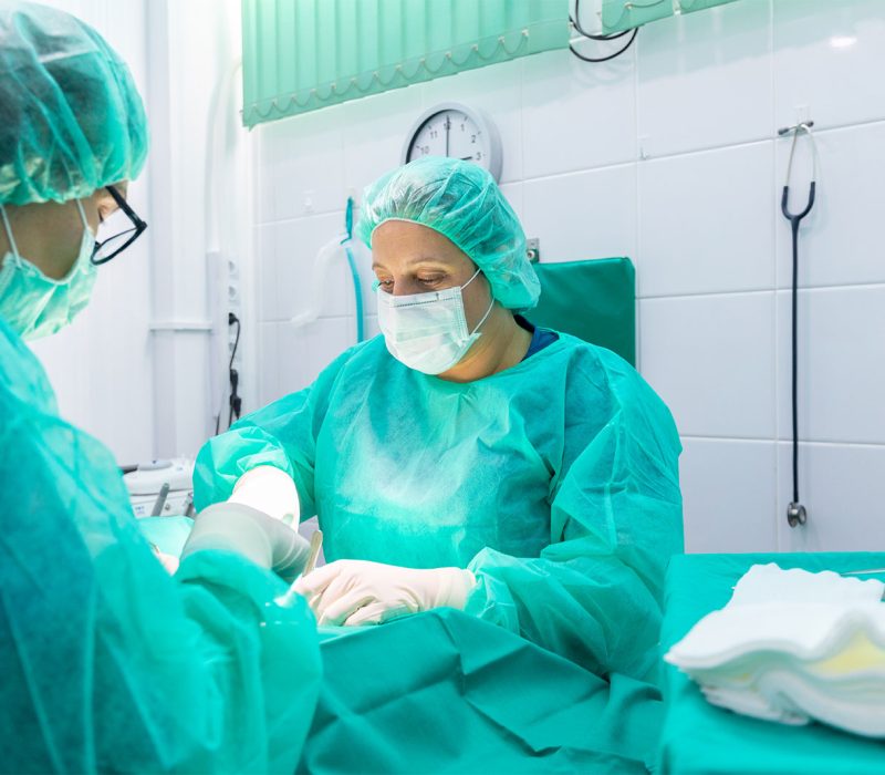 cirugia-esterilizacion-canina-felina-dos-vet-veterinarias-quirofano-urgencias cirugia-esterilizacion-canina-felina-dos-vet-veterinarias-quirofano-urgencias