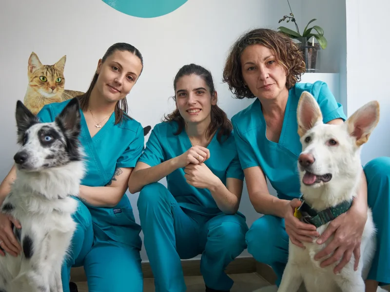 ATV de Dosvet Centro Veterinario de Vilanova i la Geltrú