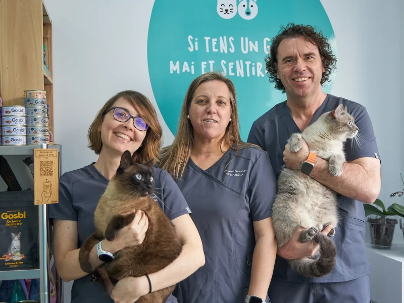 Veterinarios con gatos de Dosvet Centro Veterinario de Vilanova i la Geltrú